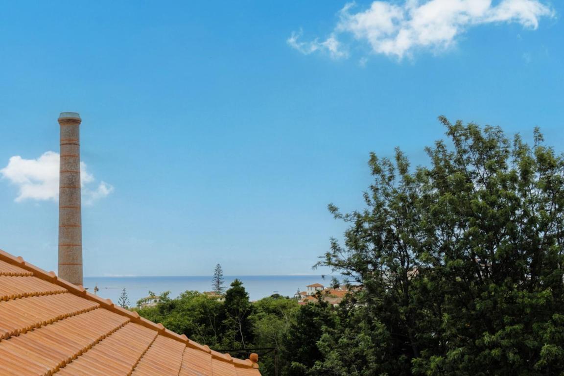 فندق Guestready - Blissful Getaway In Funchal المظهر الخارجي الصورة